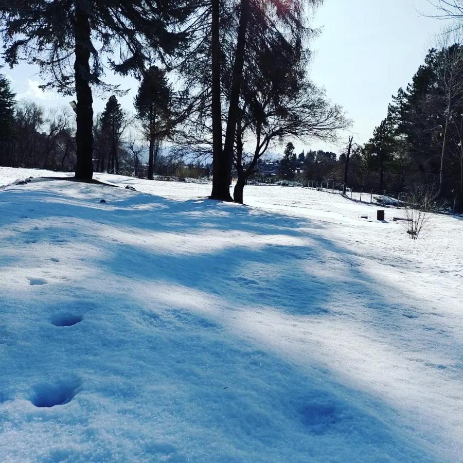 Готель Posada Del Nireco Сан-Карлос-де-Барілоче Екстер'єр фото