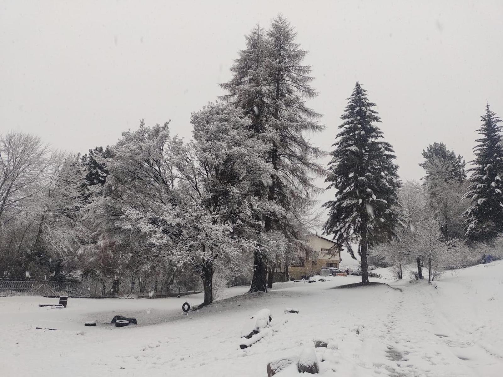 Готель Posada Del Nireco Сан-Карлос-де-Барілоче Екстер'єр фото