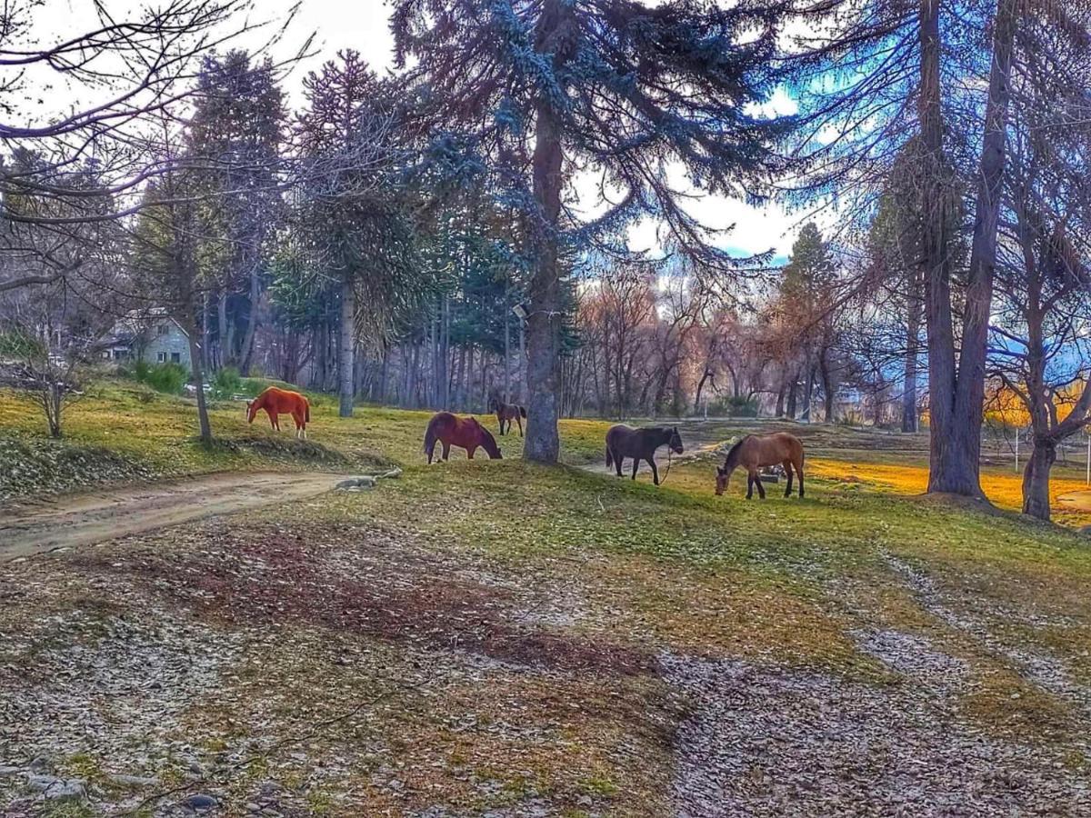 Готель Posada Del Nireco Сан-Карлос-де-Барілоче Екстер'єр фото