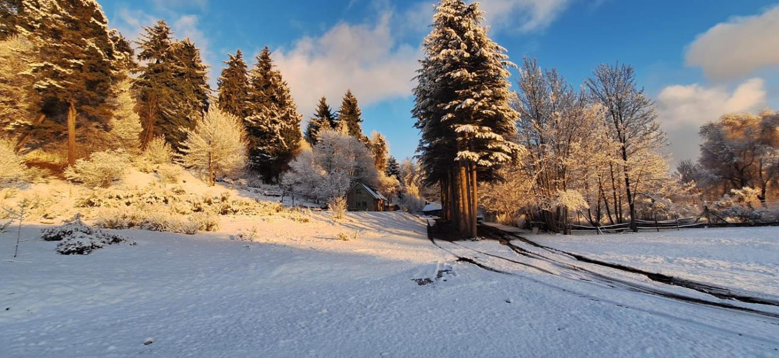 Готель Posada Del Nireco Сан-Карлос-де-Барілоче Екстер'єр фото